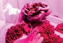 И в теплицах на Марсе будет салат-латук цвести И в теплицах на Марсе будет салат-латук цвести