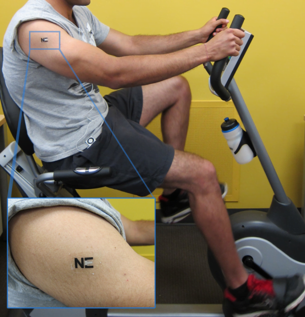 tattoobiobat